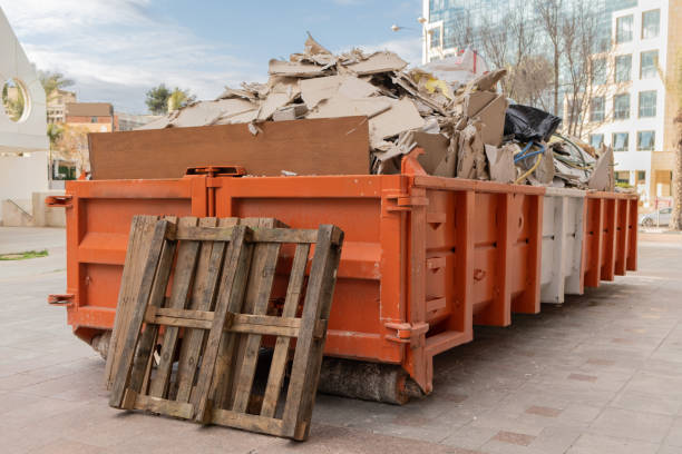 Yard Cleanup Services in Seven Corners, VA